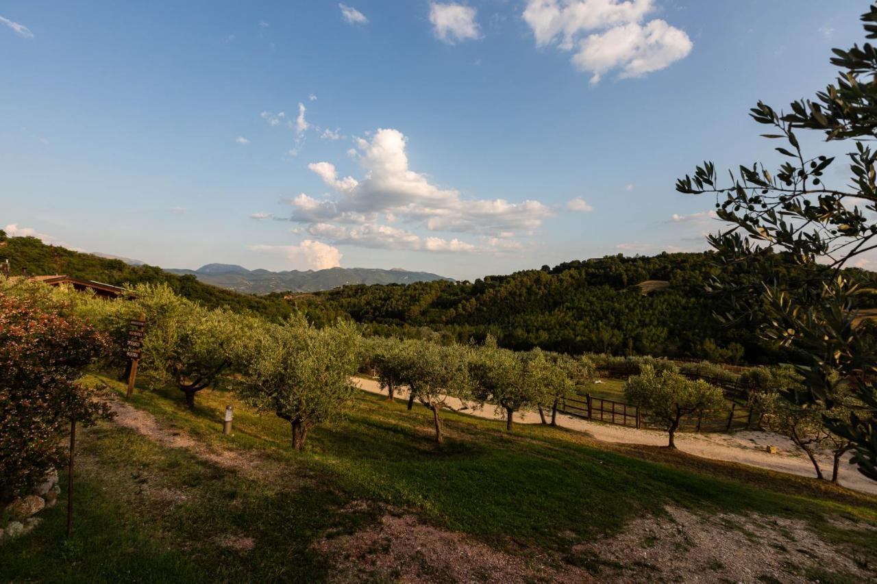 Agriturismo Agrileisuretime Spolète Extérieur photo