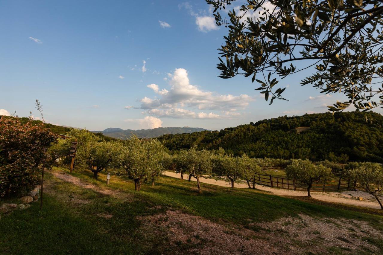 Agriturismo Agrileisuretime Spolète Extérieur photo