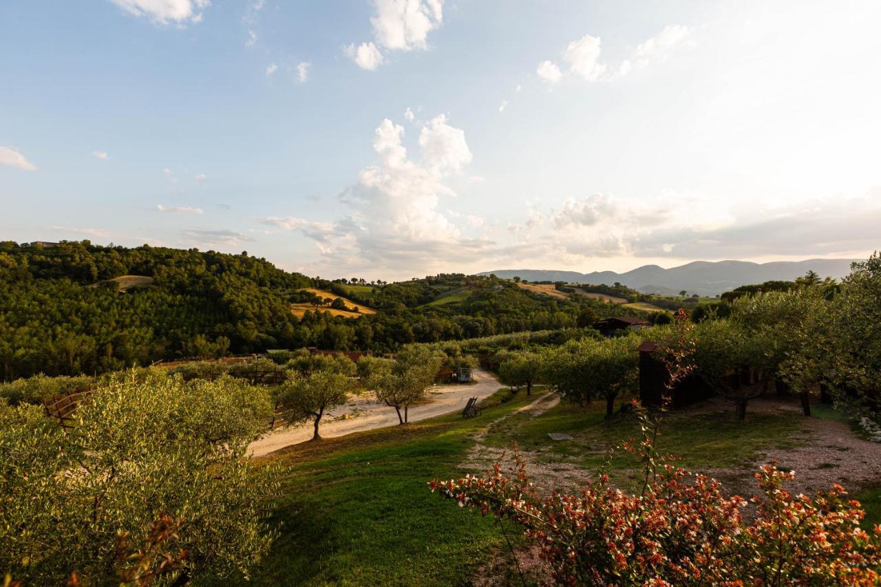 Agriturismo Agrileisuretime Spolète Extérieur photo